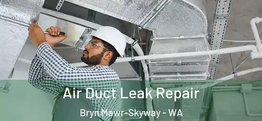  Air Duct Leak Repair Bryn Mawr-Skyway - WA
