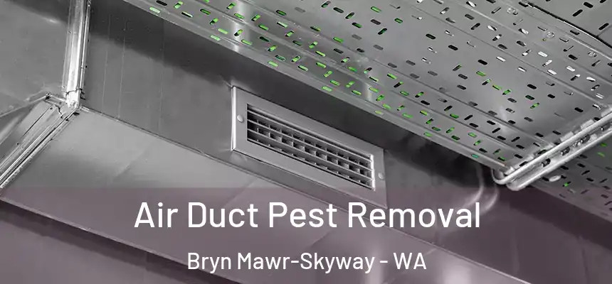  Air Duct Pest Removal Bryn Mawr-Skyway - WA