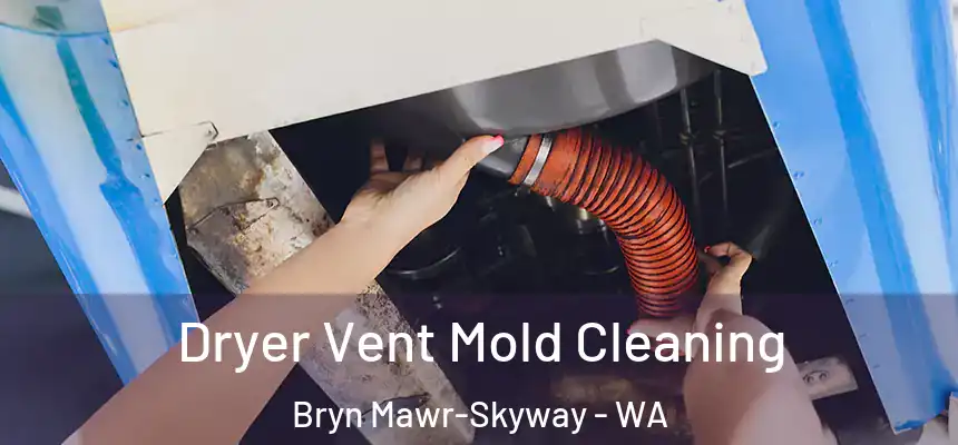  Dryer Vent Mold Cleaning Bryn Mawr-Skyway - WA