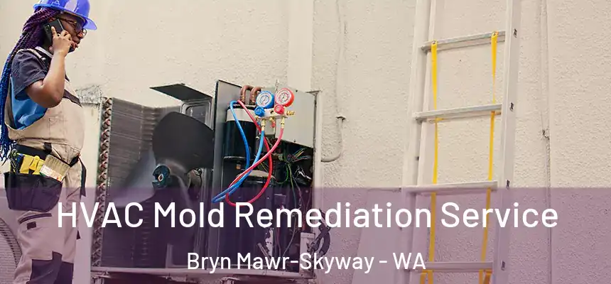 HVAC Mold Remediation Service Bryn Mawr-Skyway - WA