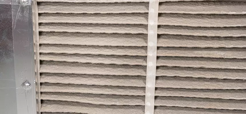 Mobile Car AC Filter Replacement in Bryn Mawr-Skyway