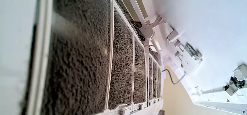 Preventive Air Duct Bacteria Removal in Bryn Mawr-Skyway