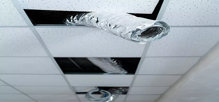 Our Air Duct Pet Hair Removal Services in Bryn Mawr-Skyway, WA