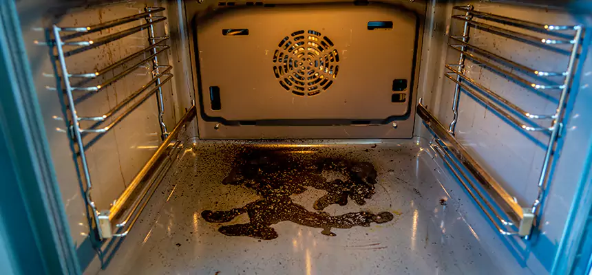 Our Air Purifier Installation Services in Bryn Mawr-Skyway, WA