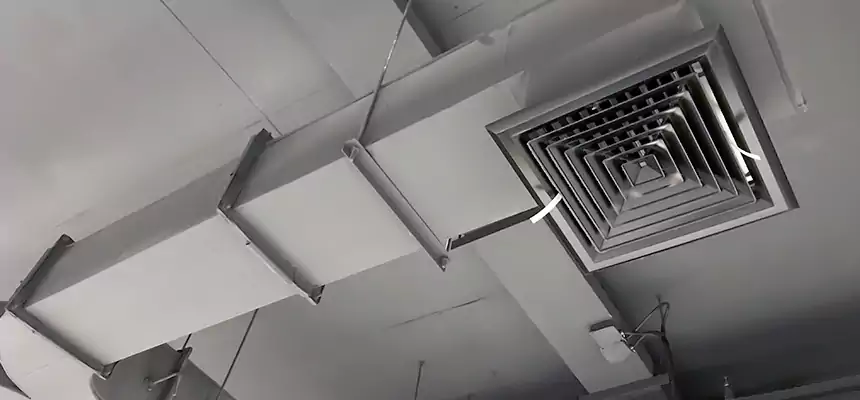 Restorative Allergy Relief Vent Cleaning – Coil, Blower & Housing Detail in Bryn Mawr-Skyway