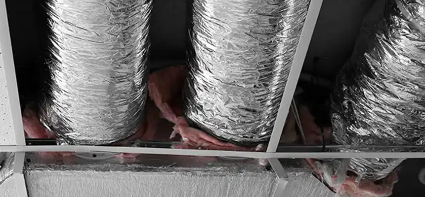 Scalable Commercial Multi‑Unit Dryer Vent Camera Inspection in Bryn Mawr-Skyway, WA