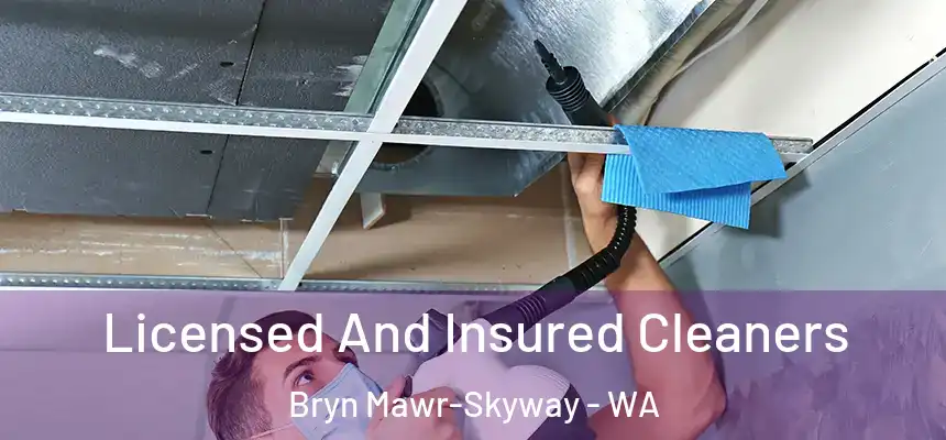  Licensed And Insured Cleaners Bryn Mawr-Skyway - WA