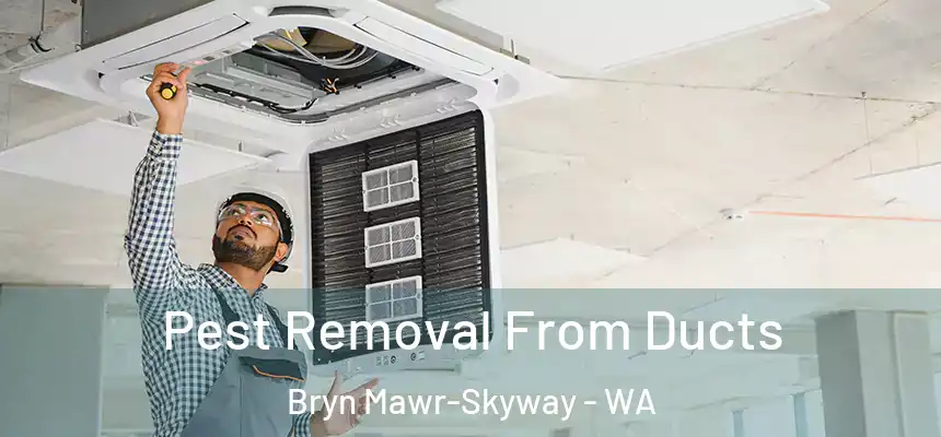  Pest Removal From Ducts Bryn Mawr-Skyway - WA