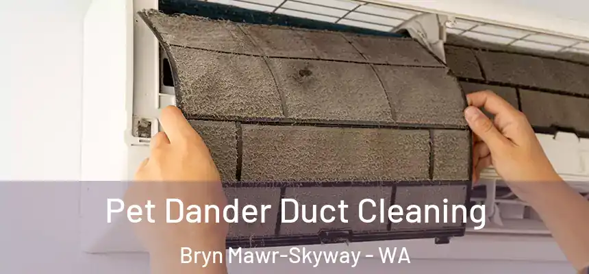  Pet Dander Duct Cleaning Bryn Mawr-Skyway - WA