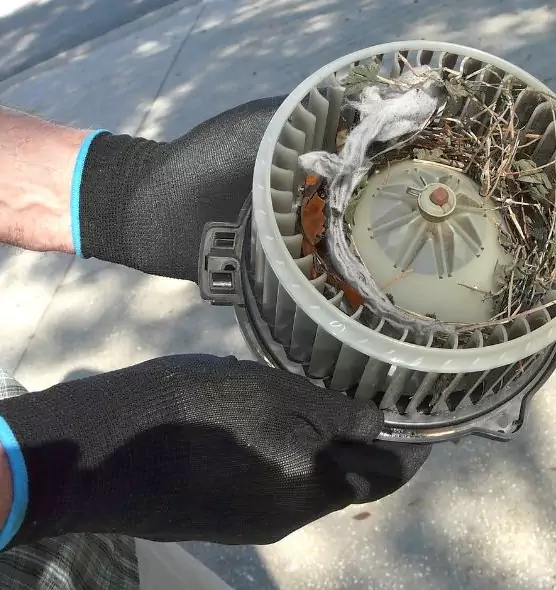 About Air Duct Mice Removal in Bryn Mawr-Skyway, WA