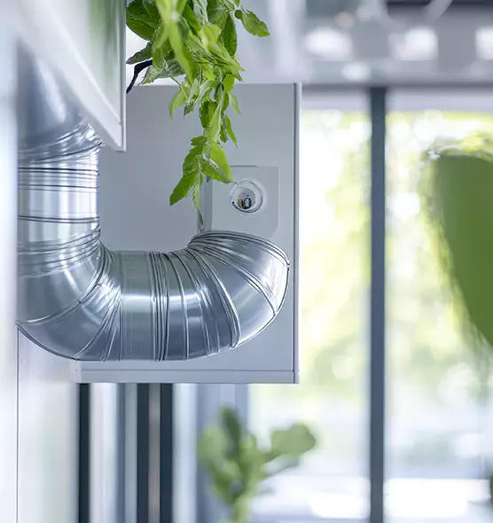 Professional Eco-Safe Dryer Vent Cleaning in Bryn Mawr-Skyway, WA