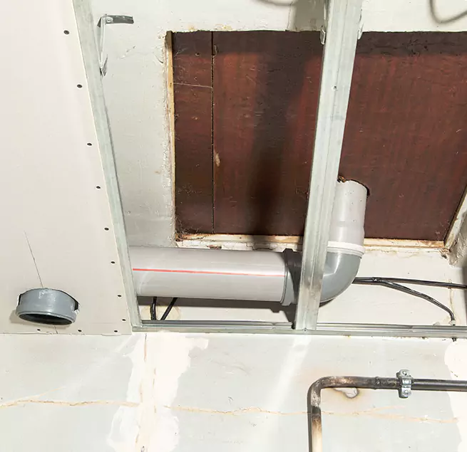 Why Homeowners & Businesses Trust Us in Bryn Mawr-Skyway, WA?