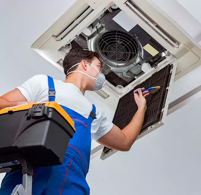 Why Homeowners & Businesses Trust Us in Bryn Mawr-Skyway, WA