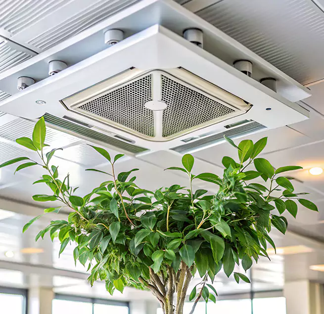 Why Homeowners & Businesses Trust Us in Bryn Mawr-Skyway, WA?