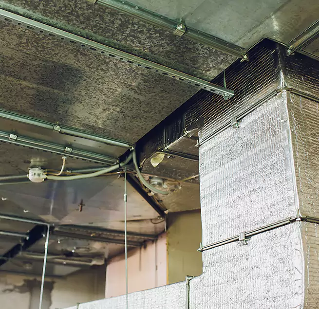 Why Homeowners & Businesses Trust Us in Bryn Mawr-Skyway, WA?