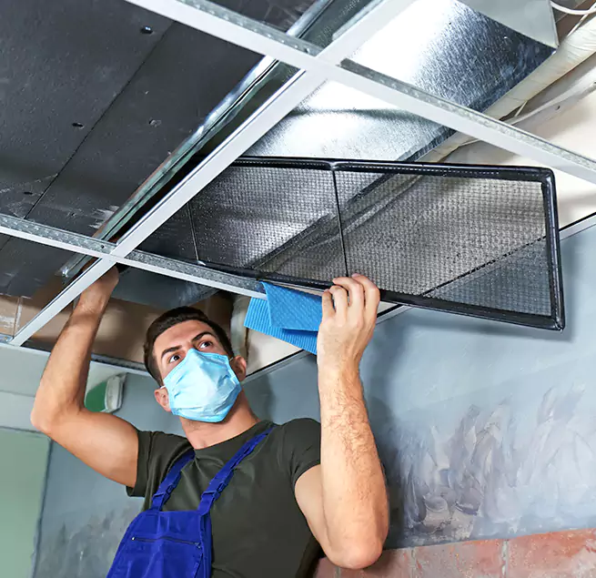  Why Homeowners Businesses Trust Us  in Bryn Mawr-Skyway, WA?